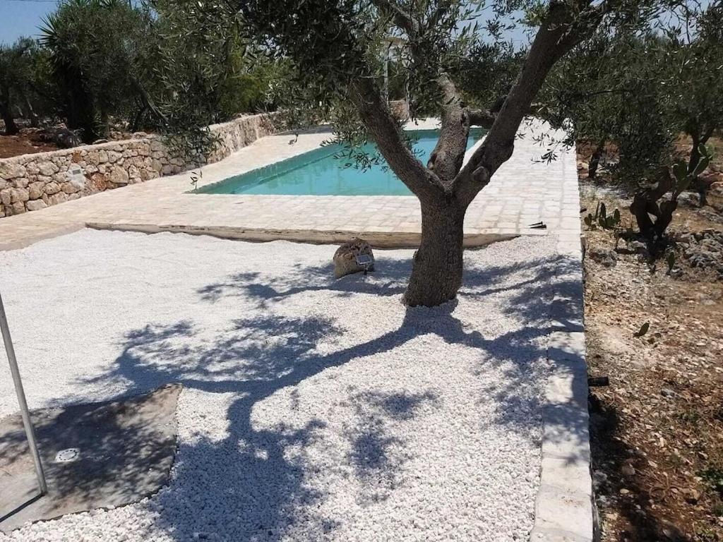 Casa Giuliveto - Charmantes Ferienhaus Mit Privatpool In Olivenhain Остуні Екстер'єр фото