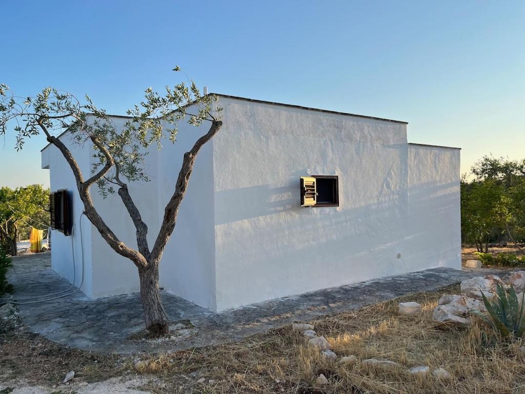 Casa Giuliveto - Charmantes Ferienhaus Mit Privatpool In Olivenhain Остуні Екстер'єр фото