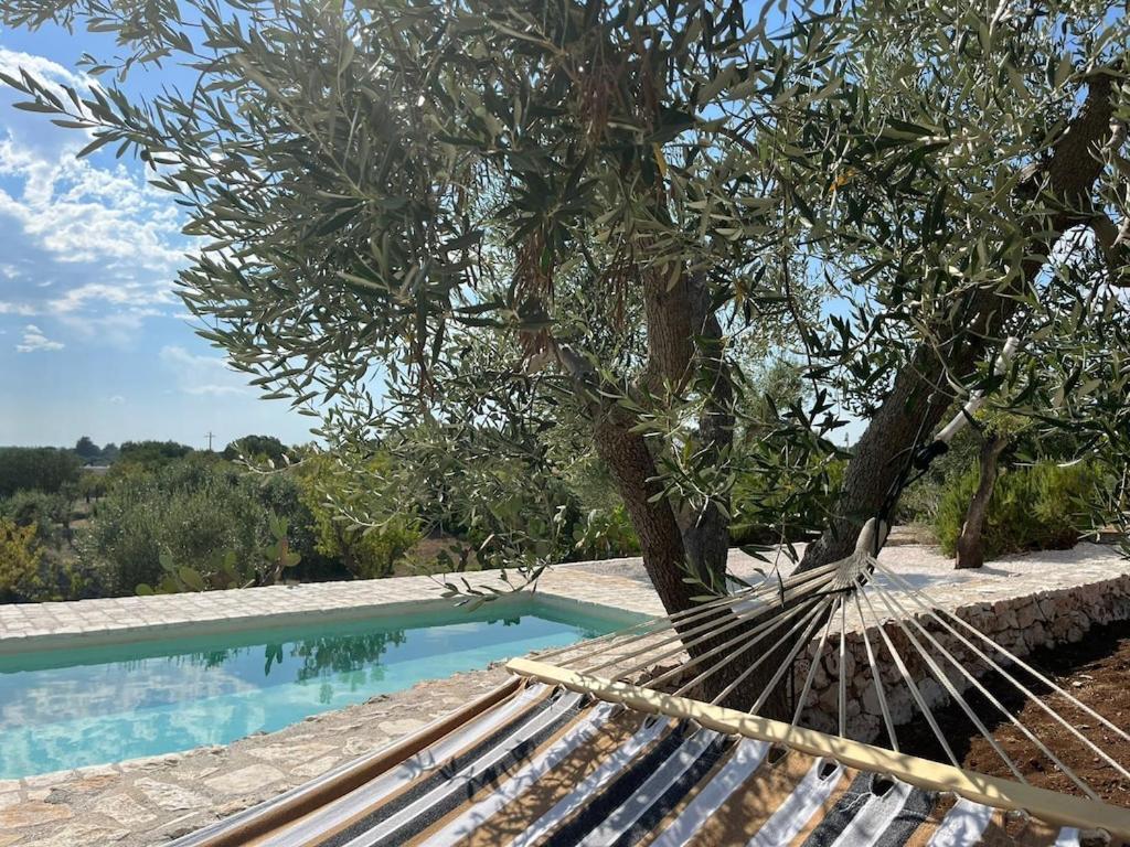 Casa Giuliveto - Charmantes Ferienhaus Mit Privatpool In Olivenhain Остуні Екстер'єр фото